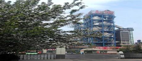 安博(中国)春景（八）